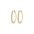 Root Hoop Earrings - Gold Plated