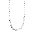 Charm Necklace - Silver Plated