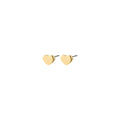 Arin Earrings - Gold Plated