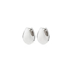 Kaisyn Earrings - Silver Plated