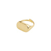 Restoration Ring - Gold Plated