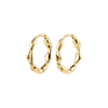 Zion Earrings - Gold Plated