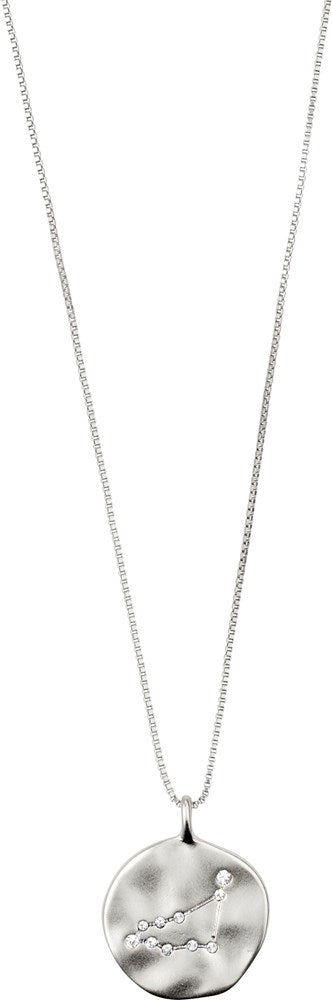 Capricorn Zodiac Sign Necklace - Silver Plated - Crystal