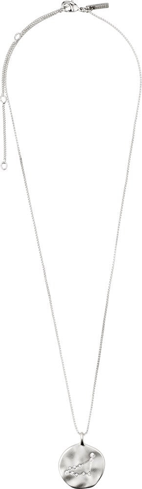 Capricorn Zodiac Sign Necklace - Silver Plated - Crystal