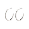 Roberta Pi Earrings - Silver Plated Crystal - 25mm